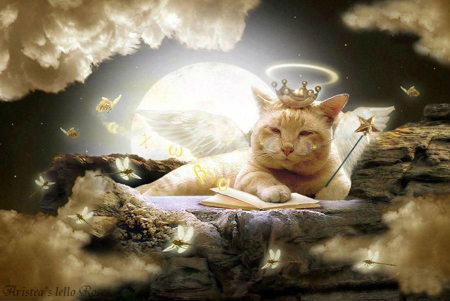Архангел Метатрон. Сознание животных: божественность кошек & собак 7556508_orig